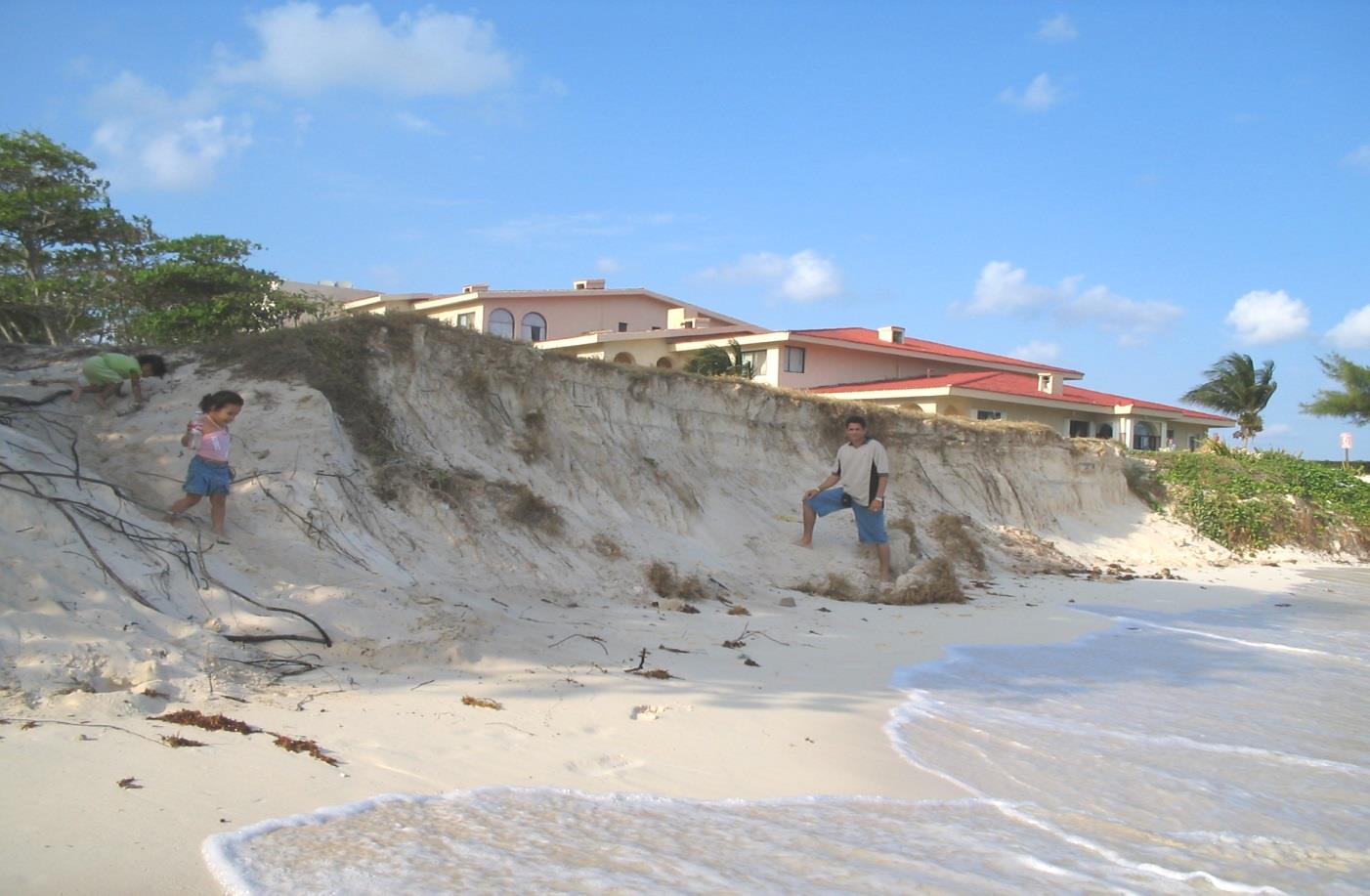 INFORME: "Diagnóstico de los Procesos de Erosión en las Playas Arenosas del Caribe. Conclusiones 1.