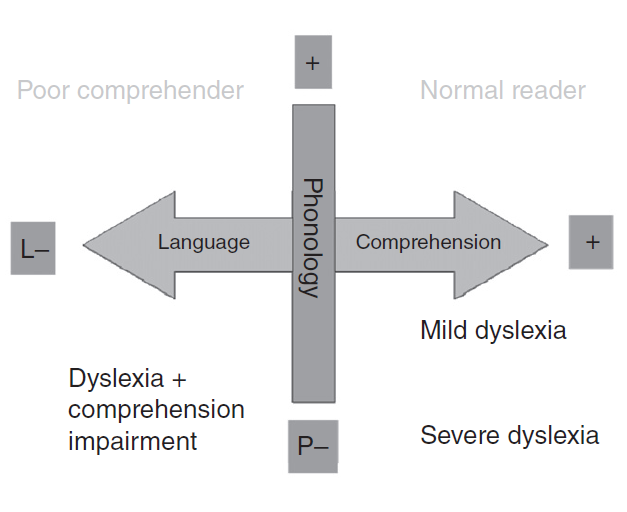 Fundamentos Simple View of Reading Perfiles de lectores con dificultades Dificultades de la comprensión Lectores normales C
