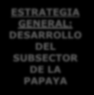 4. Aspectos estratégicos Papaya ESTRATEGIAS E INICIATIVAS ESTRATÉGICAS DE PAPAYA EN COLOMBIA A partir de las estrategias anteriores, se proponen las siguientes iniciativas estratégicas: I1.