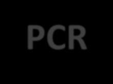 MATERIAL RT-PCR ORF 5: 793 pb ORF 7: 557 pb PCR