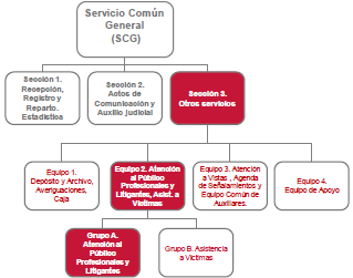 Criterios básicos de organización del Equipo CNueva Oficina