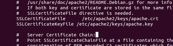 En la imagen observamos los pasos que tenemos que seguir para generar el certificado. Posteriormente, en el directorio /etc/apache2/sites-available, editamos el fichero default-ssl.conf.