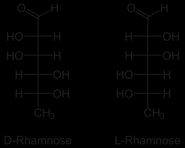 Otros monosacáridos La ramnosa, un monosacárido que puede clasificarse como una metilpentosa o una