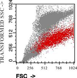 Diferenciación con : SLPC (MW) GMSI / MM / LACP : -Enumeración de las células plasmáticas malignas -Fenotipos