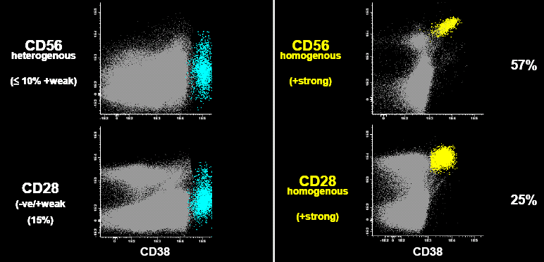 Sobre-expresión: CD56/CD28 NORMAL