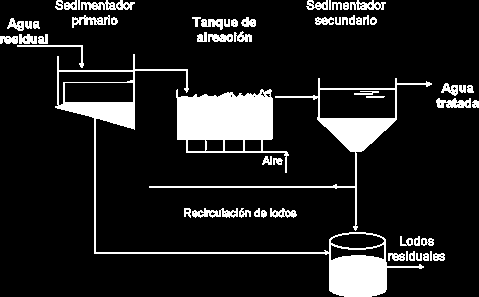 necesidades. Figura 2.6 Sistema de lodos activados (Fuente: REMA, 2009) El agua tratada que sale del sedimentador secundario, esta lista para usarse según las 2.