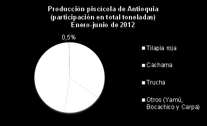 ANTIOQUIA En cuanto al volumen de producción para el primer semestre de 2012, según especie cultivada, Antioquia muestra una producción de 701 toneladas de tilapia roja (cuarto