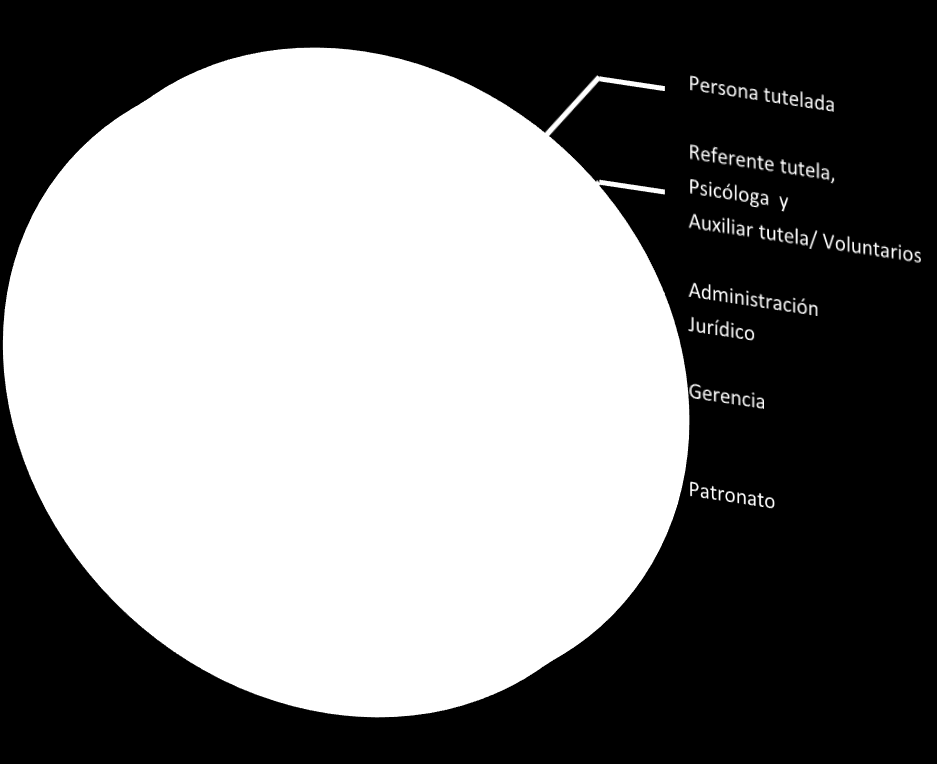 Organigrama El organigrama de Futucam se establece en un formato circular que representa el nivel de igualdad de todos los agentes internos para con la persona con discapacidad que requiere de