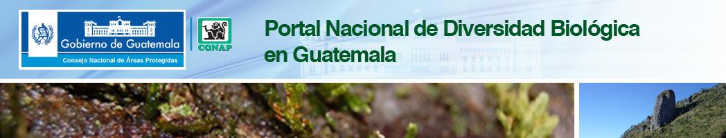 Situación actual del CHM-Guatemala www.chmguatemala.gob.
