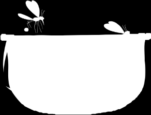 Un criadero de zancudos puede ser todo recipiente o sitio donde se acumule agua. ESTADÍO DE HUEVO: ECLOSIONA DE 2 A 3 DÍAS.