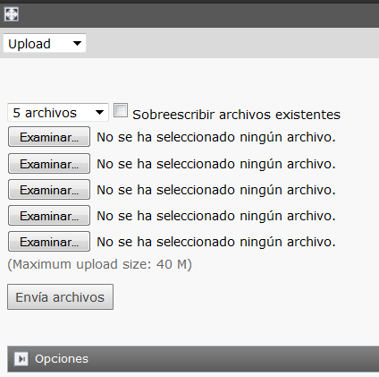 4. Hacer clic sobre el botón Examinar para escoger el archivo que desea cargar. 5. Hacer clic en el botón Envia Archivos. 6.