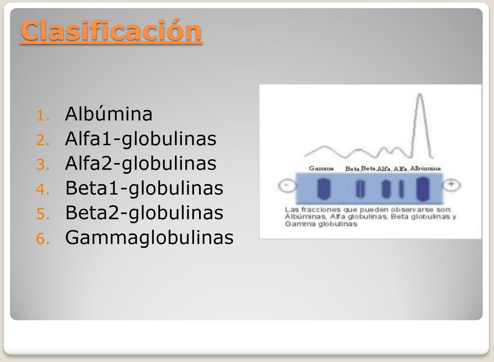 Alfa2-globulinas 4.