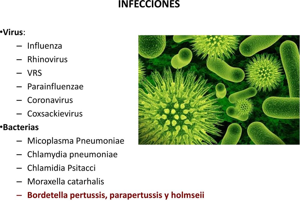 Micoplasma Pneumoniae Chlamydia pneumoniae Chlamidia