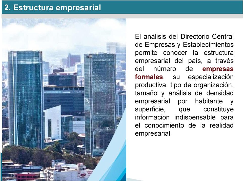 especialización productiva, tipo de organización, tamaño y análisis de densidad empresarial por