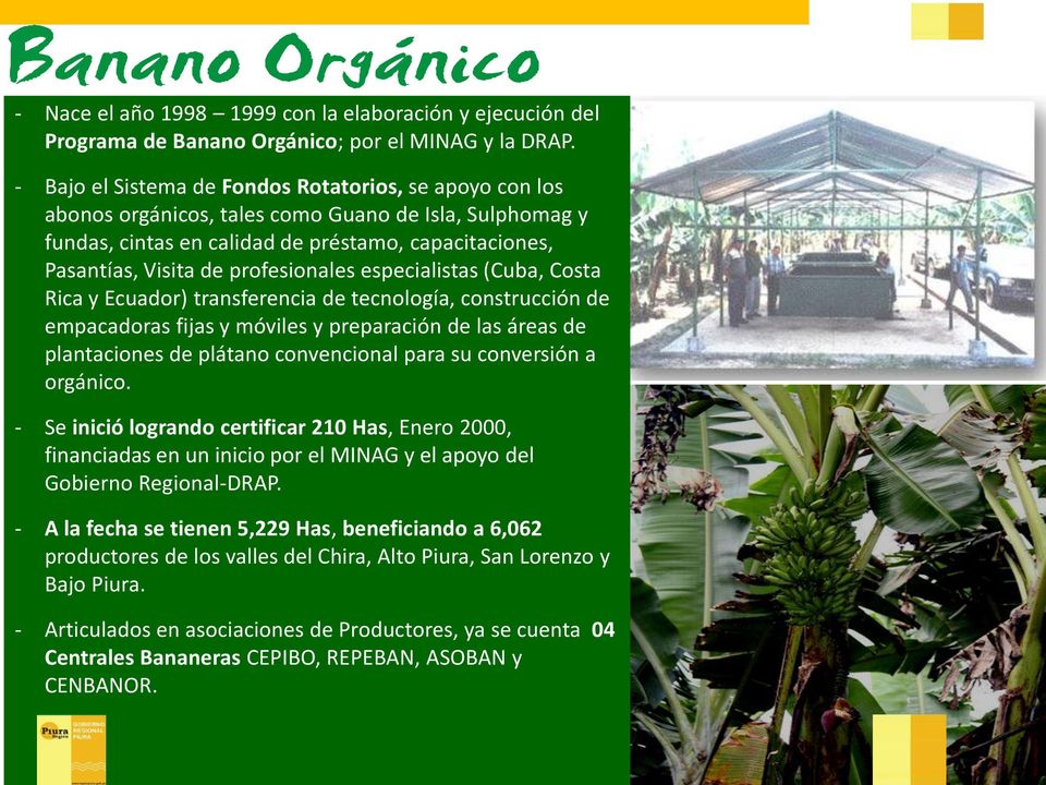profesionales especialistas (Cuba, Costa Rica y Ecuador) transferencia de tecnología, construcción de empacadoras fijas y móviles y preparación de las áreas de plantaciones de plátano convencional