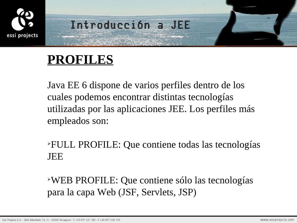 Los perfiles más empleados son: FULL PROFILE: Que contiene todas las tecnologías