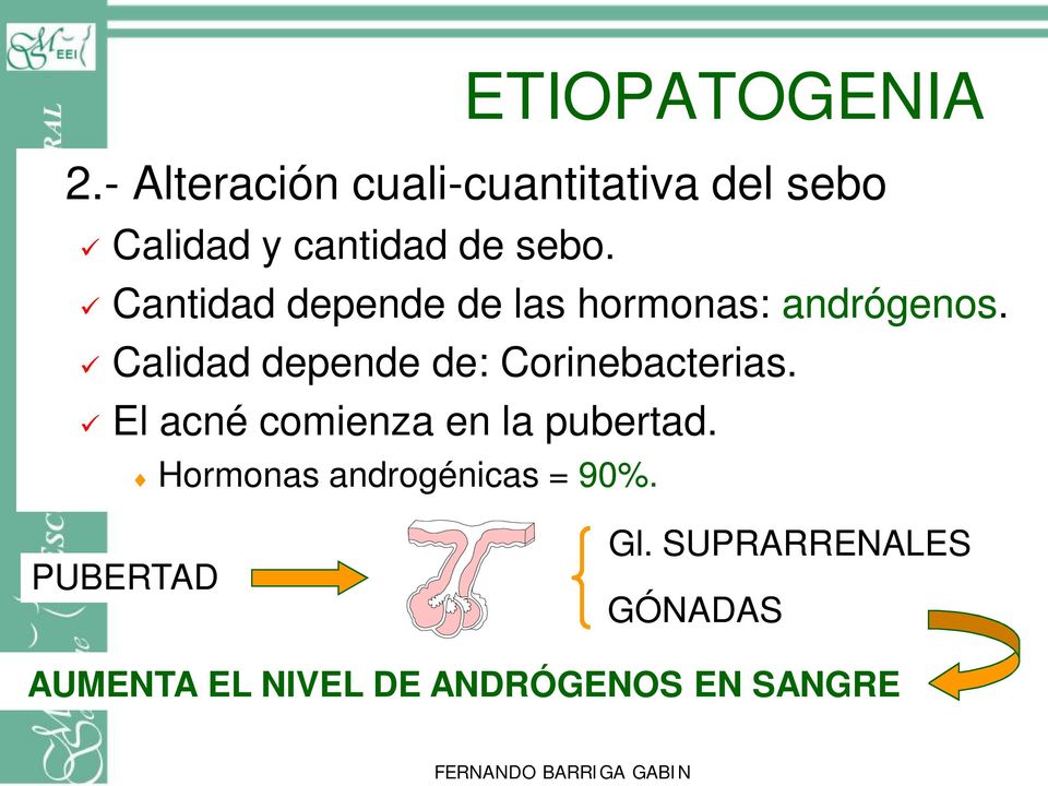 ü Cantidad depende de las hormonas: andrógenos.