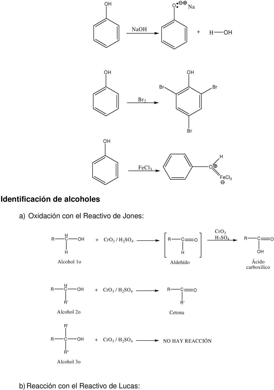 Aldehído Ácido carboxilico R C + Cr 3 / 2 S 4 R C Alcohol 2o Cetona R C +