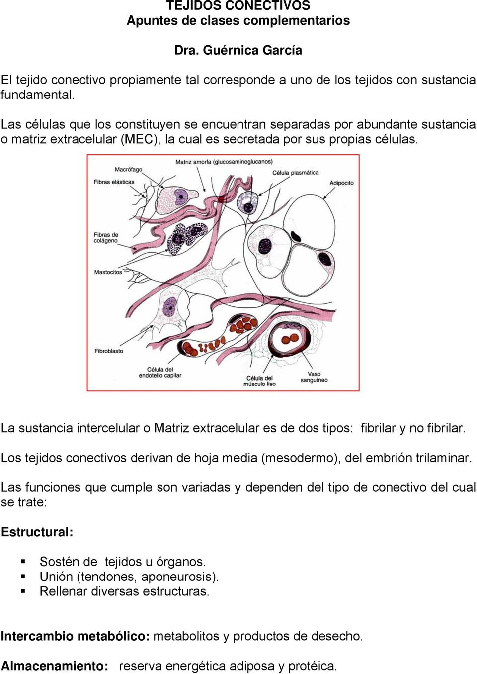La sustancia intercelular o Matriz extracelular es de dos tipos: fibrilar y no fibrilar. Los tejidos conectivos derivan de hoja media (mesodermo), del embrión trilaminar.
