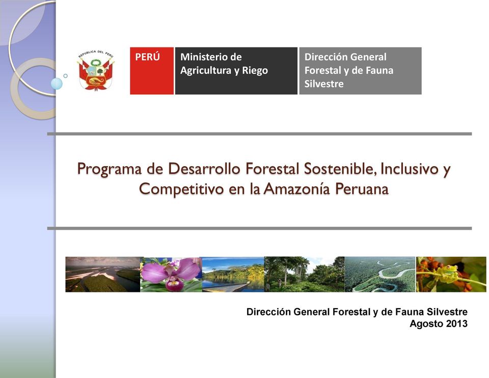 Forestal Sostenible, Inclusivo y Competitivo en la Amazonía