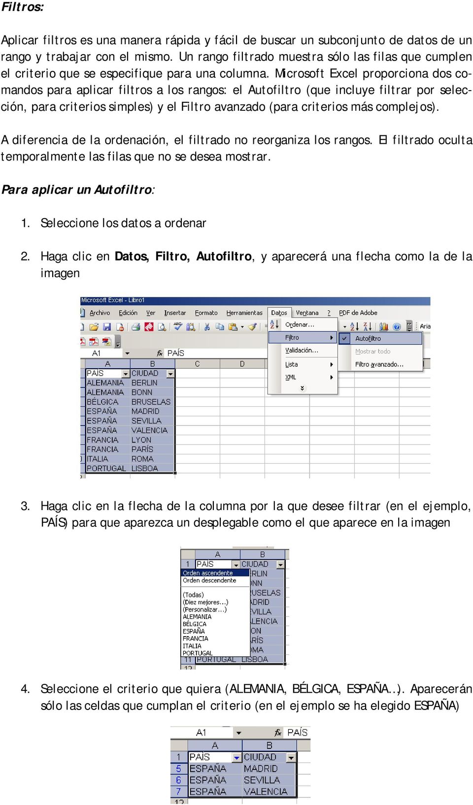Microsoft Excel proporciona dos comandos para aplicar filtros a los rangos: el Autofiltro (que incluye filtrar por selección, para crit erios simples) y el Fil t ro avanzado (para crit erios más