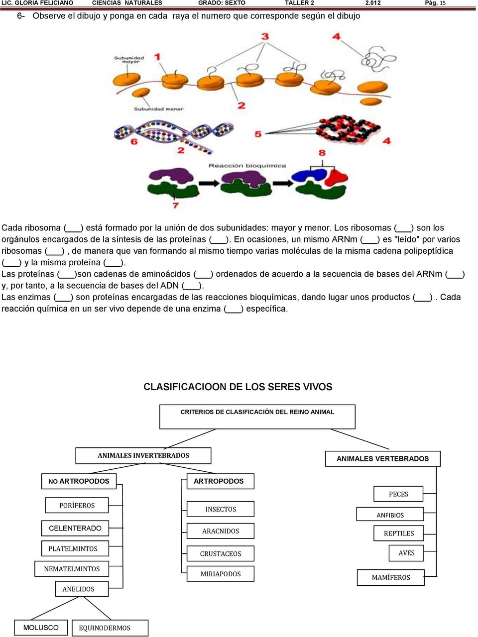 Los ribosomas ( ) son los orgánulos encargados de la síntesis de las proteínas ( ).