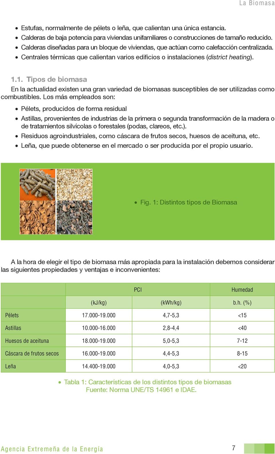 1. Tipos de biomasa En la actualidad existen una gran variedad de biomasas susceptibles de ser utilizadas como combustibles.