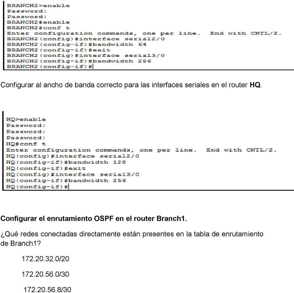Configurar el enrutamiento OSPF en el router Branch1.