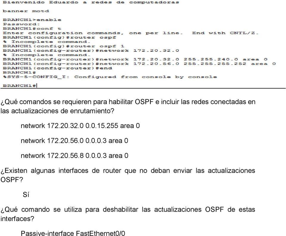0.0.3 area 0 Existen algunas interfaces de router que no deban enviar las actualizaciones OSPF?