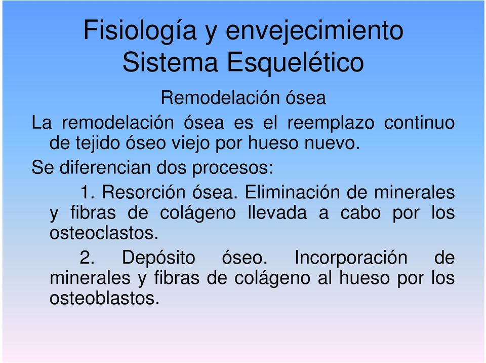 Eliminación de minerales y fibras de colágeno llevada a cabo por los osteoclastos.