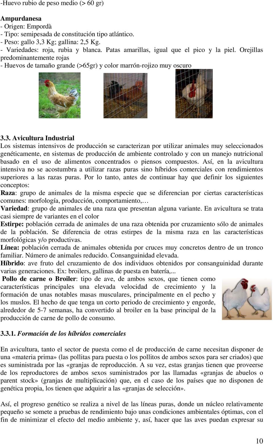 3. Avicultura Industrial Los sistemas intensivos de producción se caracterizan por utilizar animales muy seleccionados genéticamente, en sistemas de producción de ambiente controlado y con un manejo