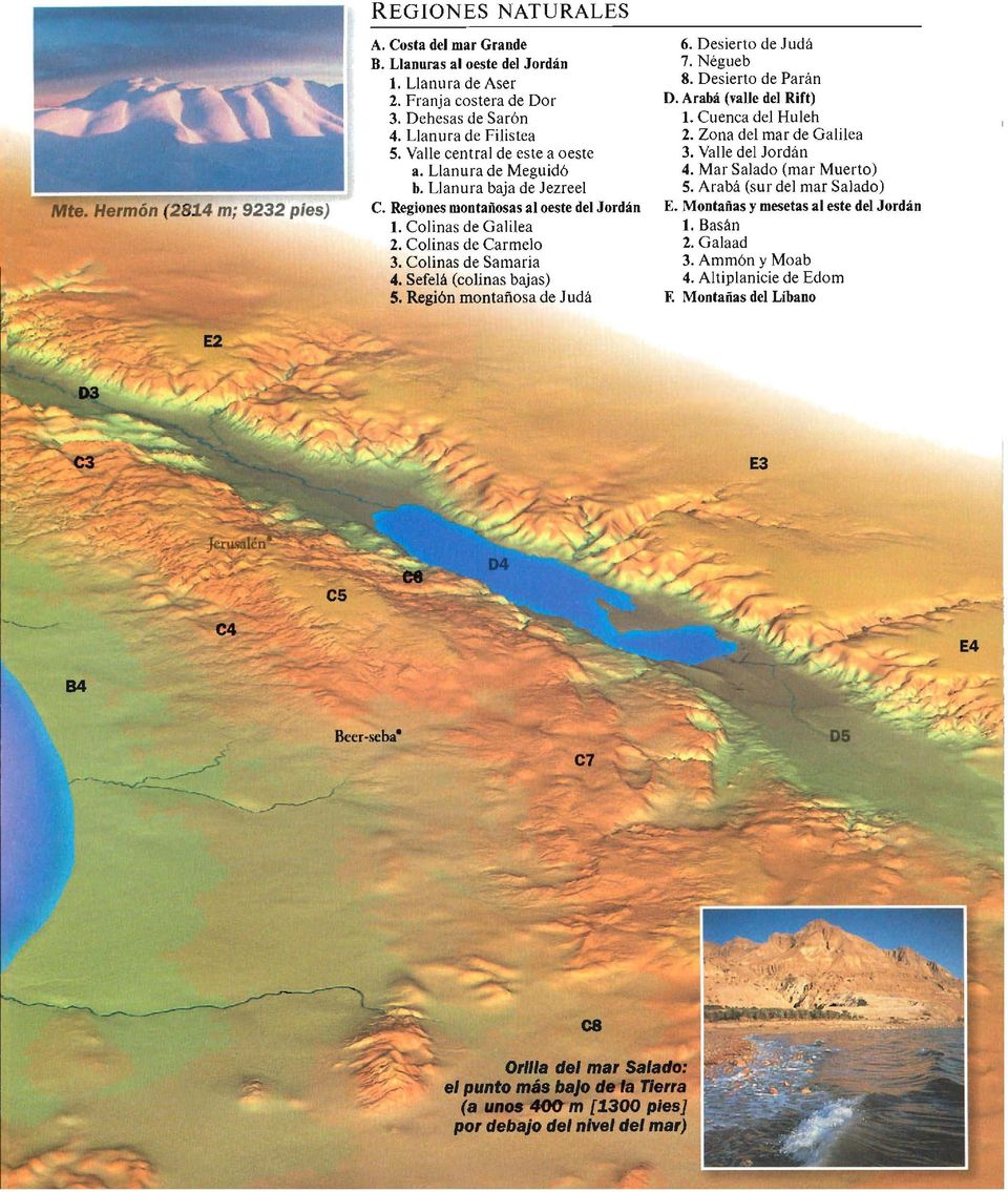 Llanura de Meguidó 4. Mar Salado (mar Muerto) b. Llanura baja de Jezreel 5. Arabá (sur del mar Salado) C. Regiones montañosas al oeste del Jordán E. Montañas y mesetas al este del Jordán 1.