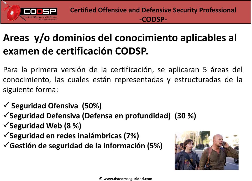 representadas y estructuradas de la siguiente forma: Seguridad Ofensiva (50%) Seguridad