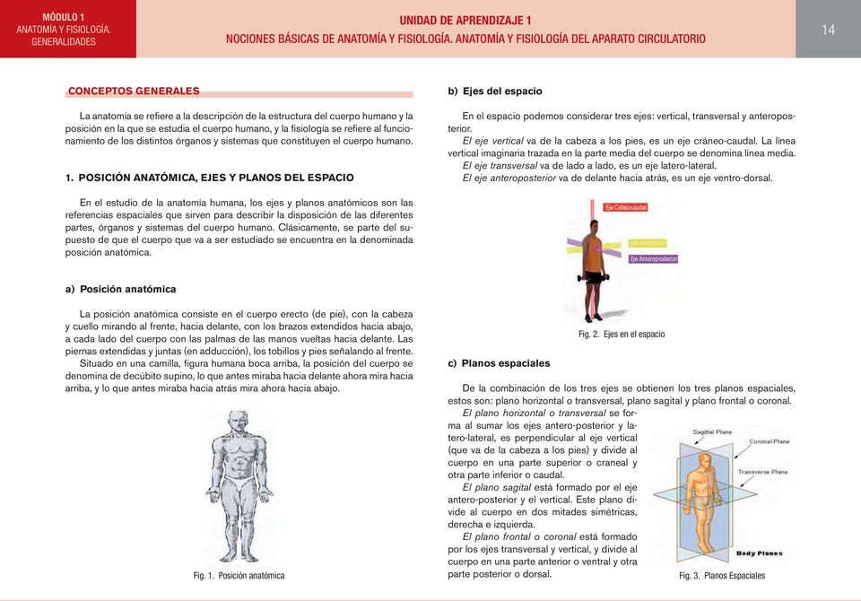 el cuerpo humano, y la fisiología se refiere al funcionamiento de los distintos órganos y sistemas que constituyen el cuerpo humano. 1.