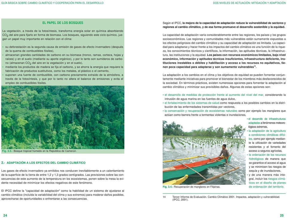 Los bosques, siguiendo este ciclo químico, juegan un papel muy importante en relación con el clima: - su deforestación es la segunda causa de emisión de gases de efecto invernadero (después de la