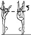 Tipos de Rotaciones 0.10 0.20 0.30 0.40 0.50 16. Cosaco 17. Espagat frontal; tronco flexionado atrás por debajo de la horizontal desde la posición vertical o desde la posición en el suelo 180 18.