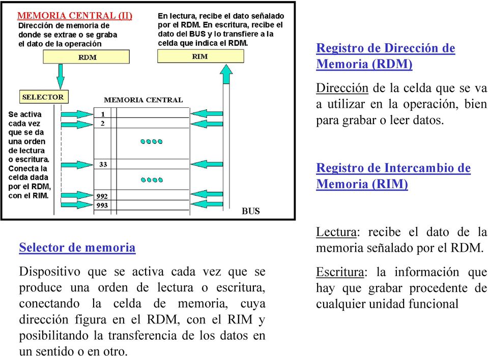 escritura, conectando la celda de memoria, cuya dirección figura en el RDM, con el RIM y posibilitando la transferencia de los datos en un