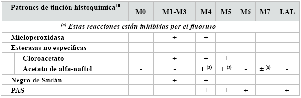 4. AML (FAB M4). 5. Leucemia monoblástica aguda y monocítica (FAB M5a y M5b respectivamente). 6. Leucemia eritroide aguda (FAB M6). 1. Eritroleucemia (FAB M6a). 2. Leucemia eritroide pura (FAB M6b).