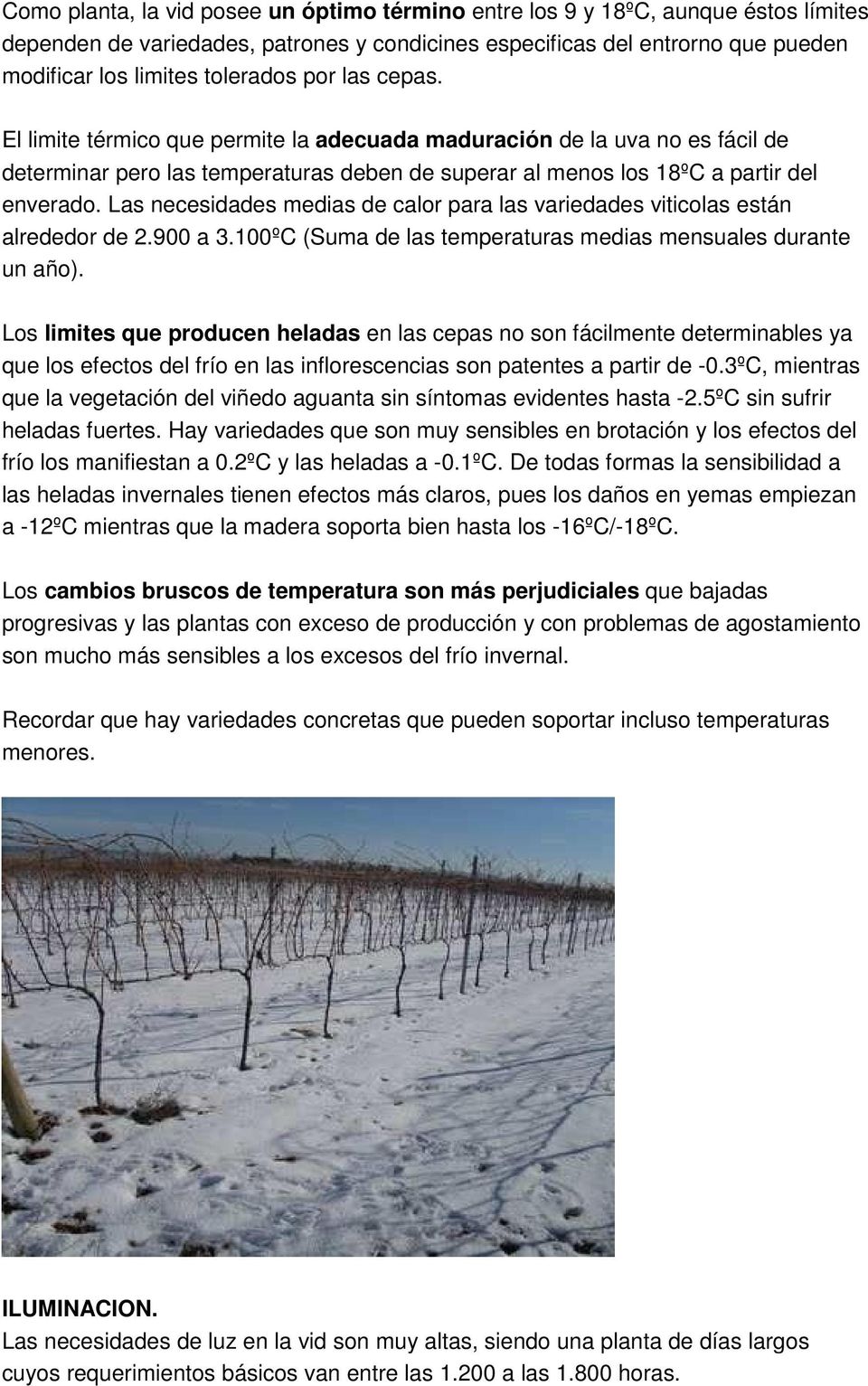 Las necesidades medias de calor para las variedades viticolas están alrededor de 2.900 a 3.100ºC (Suma de las temperaturas medias mensuales durante un año).