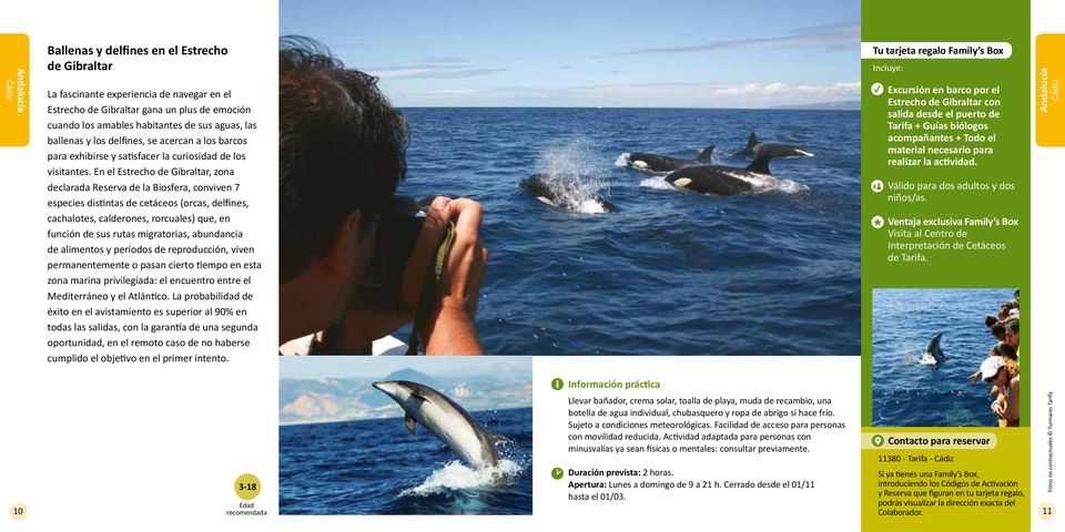 En el Estrecho de Gibraltar, zona declarada Reserva de la Biosfera, conviven 7 especies distintas de cetáceos (orcas, delfines, cachalotes, calderones, rorcuales) que, en función de sus rutas