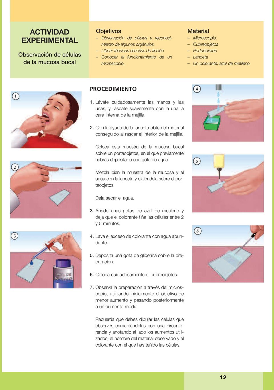 Lávate cuidadosamente las manos y las uñas, y ráscate suavemente con la uña la cara interna de la mejilla. 2.