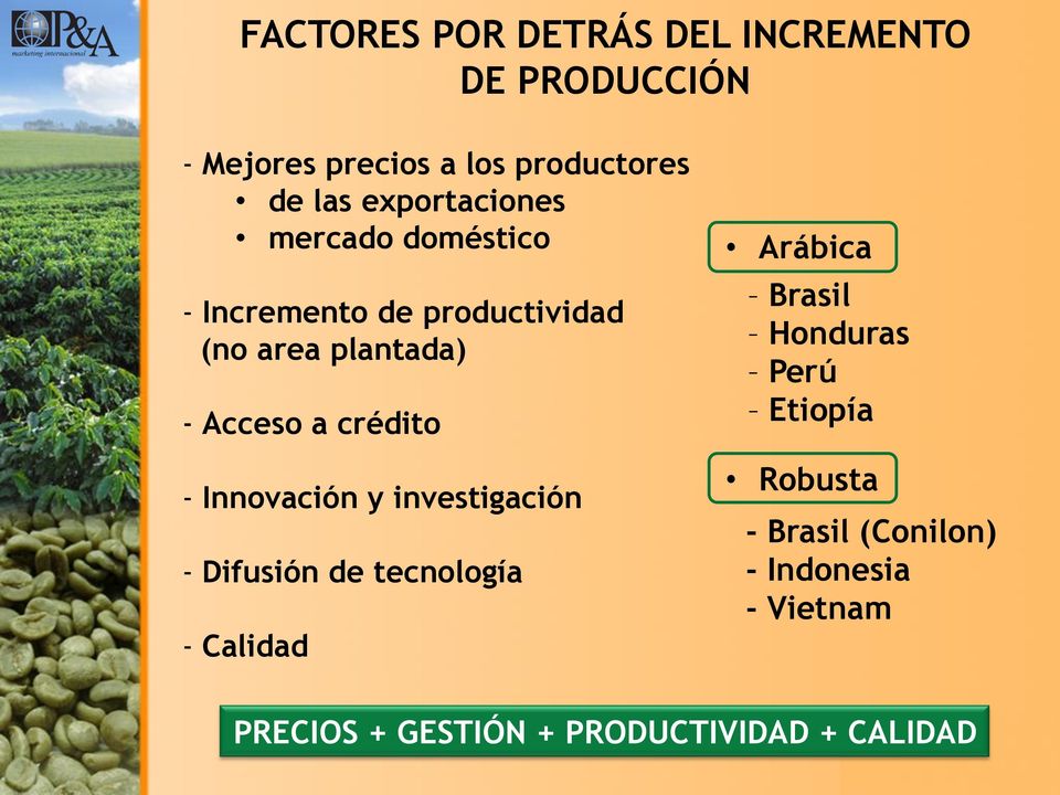 crédito Arábica Brasil Honduras Perú Etiopía - Innovación y investigación - Difusión de