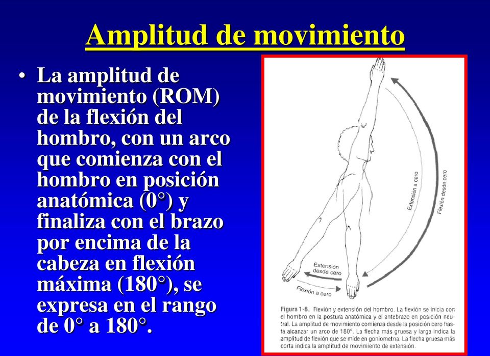 posición anatómica (0 ) y finaliza con el brazo por encima de