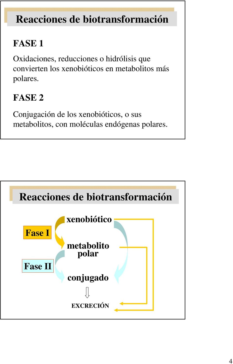 FAE 2 Conjugación de los xenobióticos, o sus metabolitos, con moléculas endógenas polares.