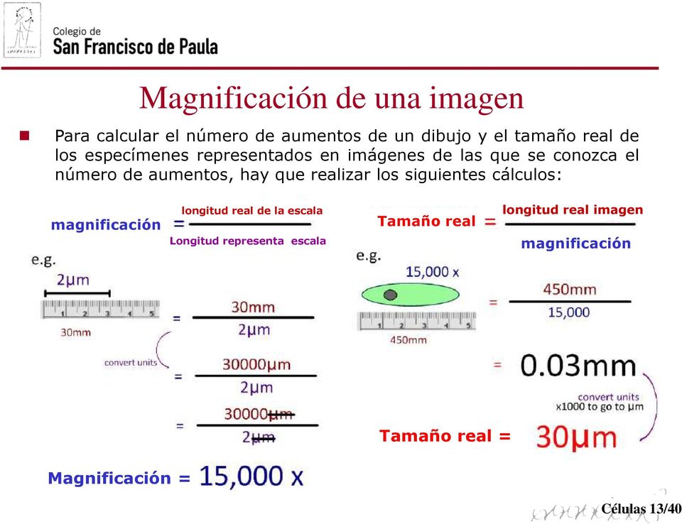 que realizar los siguientes cálculos: magnificación longitud real de la escala Longitud
