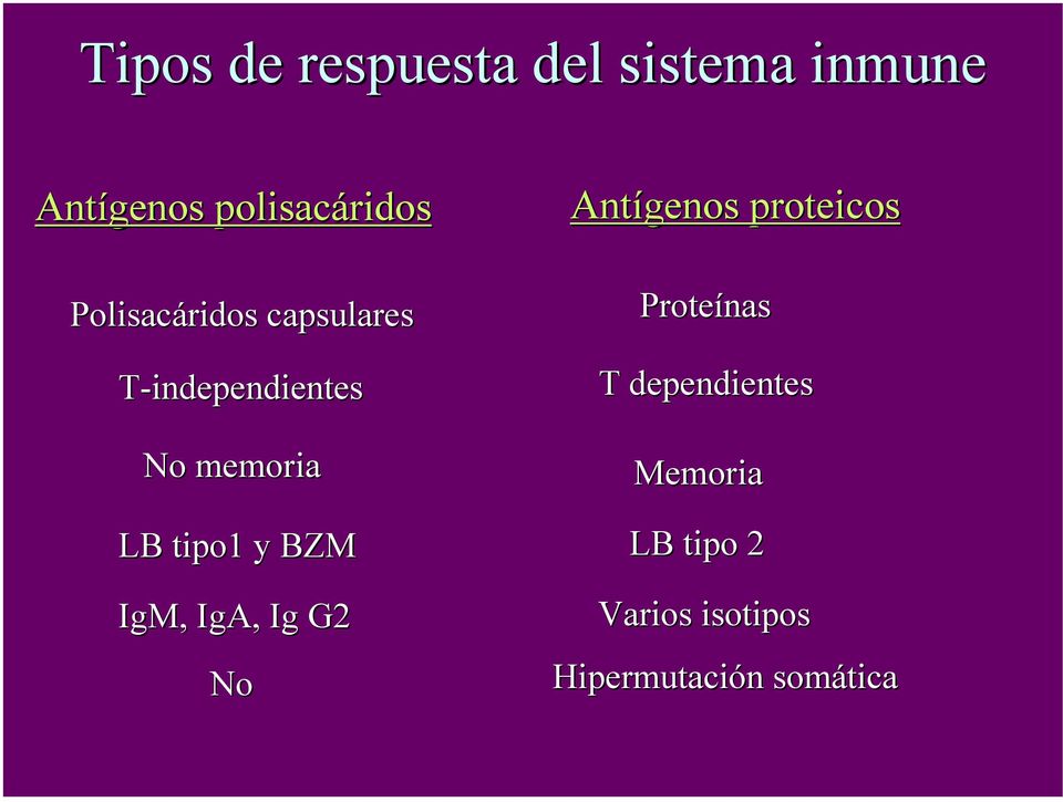tipo1 y BZM IgM, IgA, Ig G2 No Antígenos proteicos Proteínas T