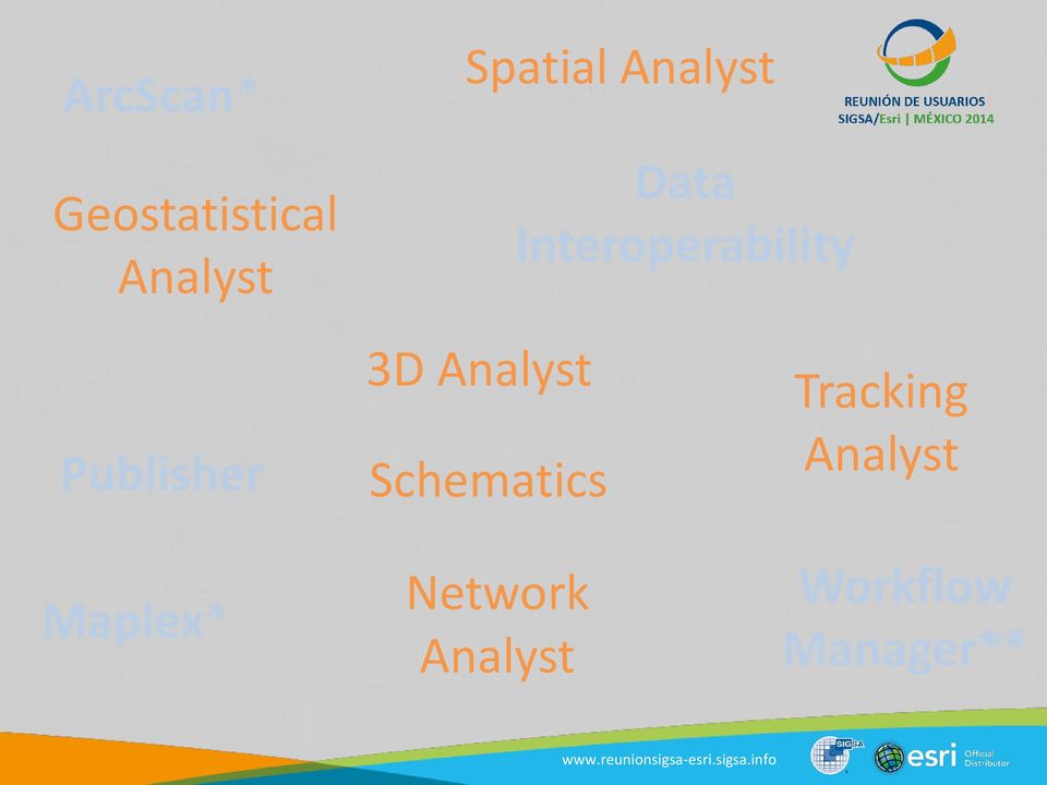 Maplex* 3D Analyst Schematics Network