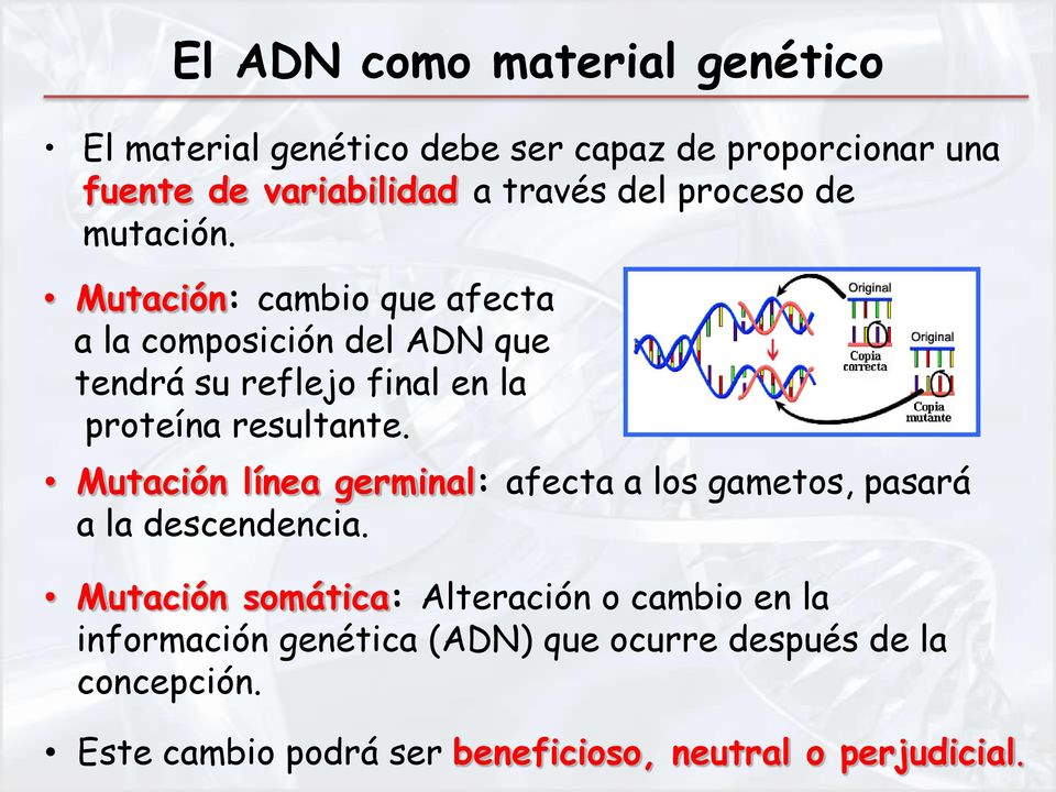 Mutación: cambio que afecta a la composición del ADN que tendrá su reflejo final en la proteína resultante.