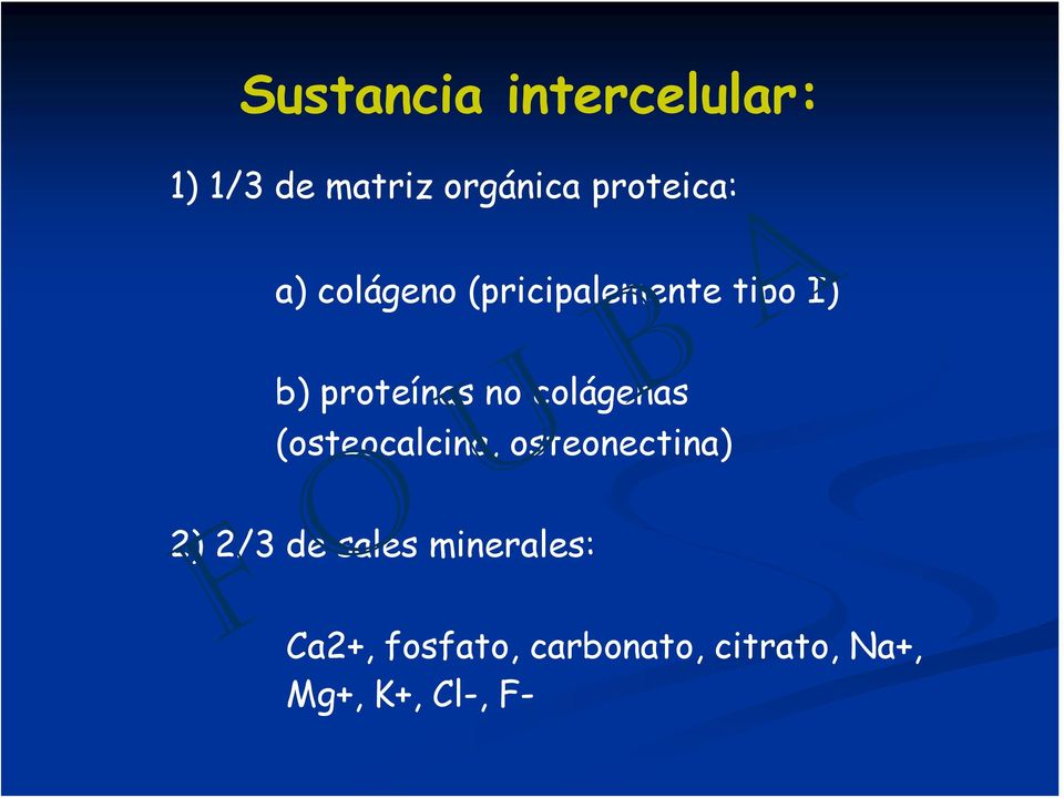 no colágenas (osteocalcina, osteonectina) 2) 2/3 de sales