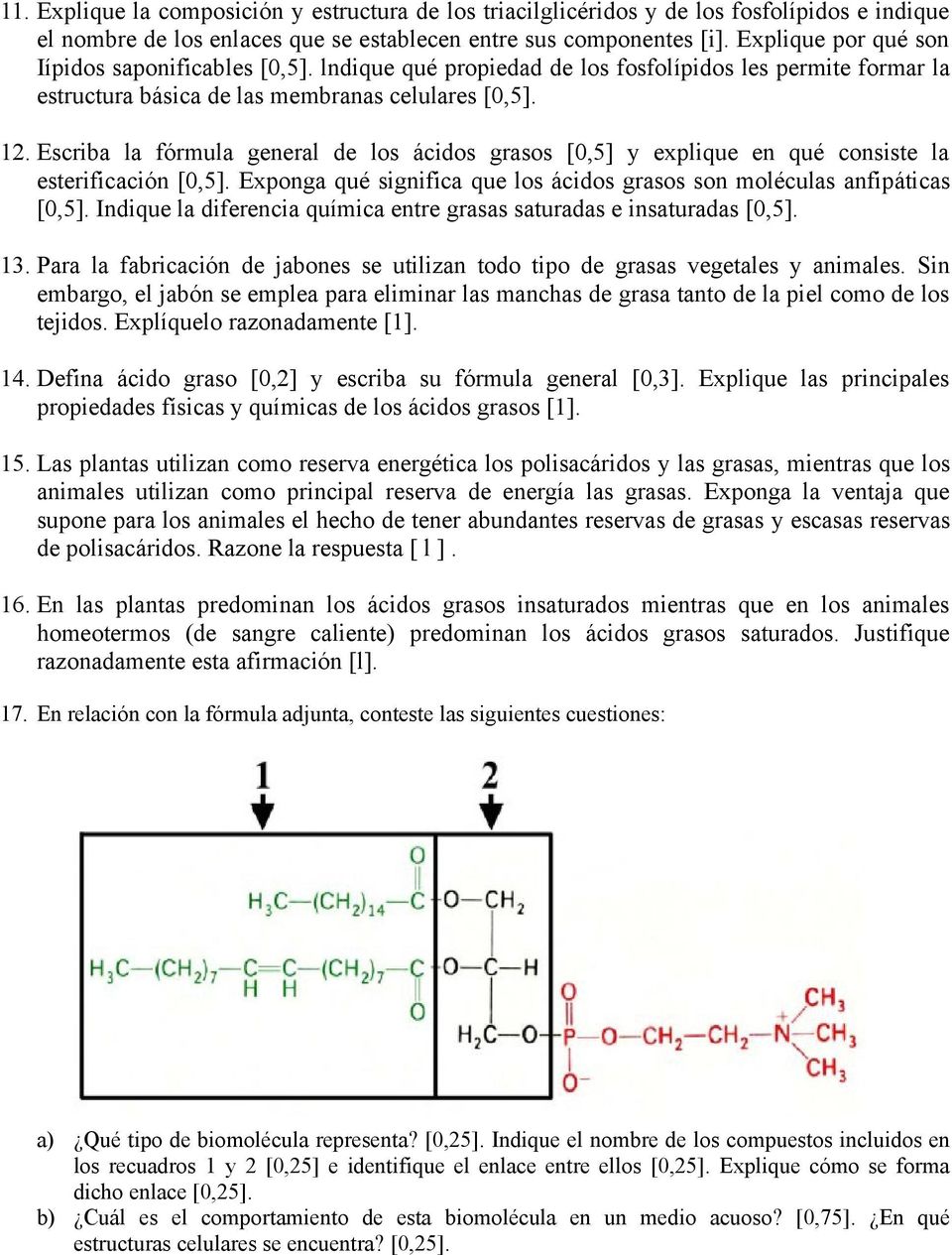 Escriba la fórmula general de los ácidos grasos [0,5] y explique en qué consiste la esterificación [0,5]. Exponga qué significa que los ácidos grasos son moléculas anfipáticas [0,5].